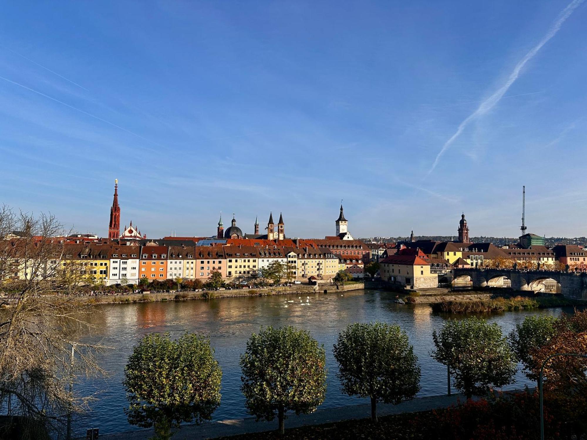 Naehe Alte Mainbruecke * Würzburg